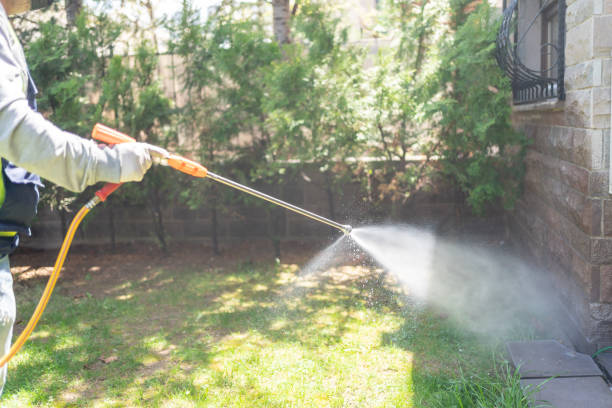 Emergency Pest Control in Gamewell, NC